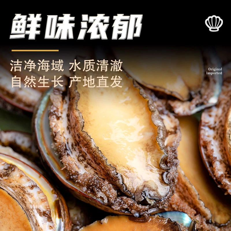 鲍鱼鲜活冷冻新鲜特大海捕超大鲍鱼海鲜水产商用鲍鱼