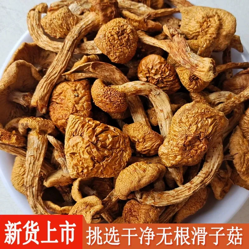 【滑子蘑干货 】东北吉林食用菌干净无沙无根口感滑嫩清脆250g 500g