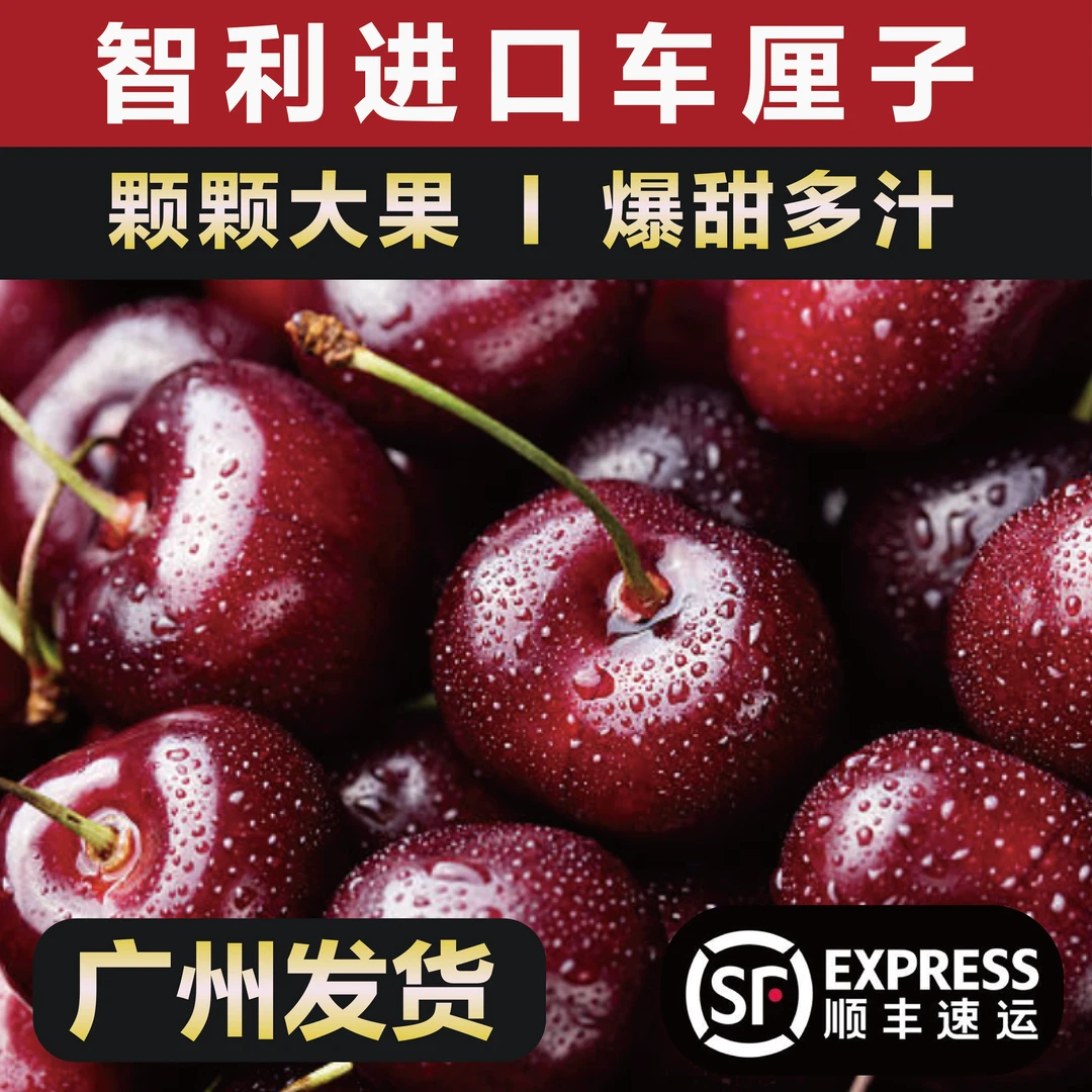 【每日靓货S】智利车厘子桑缇娜高档新鲜进口水果1J-4J甜脆1-5斤