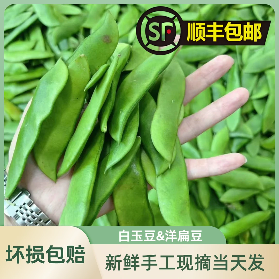 【顺丰包邮】洋扁豆白玉豆新鲜南通崇明上饶福建露天种植现摘现发