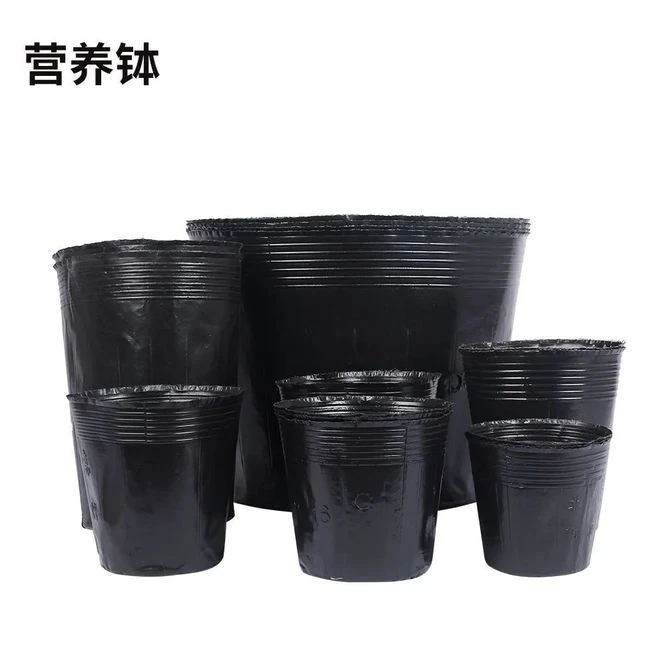 加厚营养杯育苗杯大号一次性花盆黑色种植塑料育苗袋育苗盆营养钵