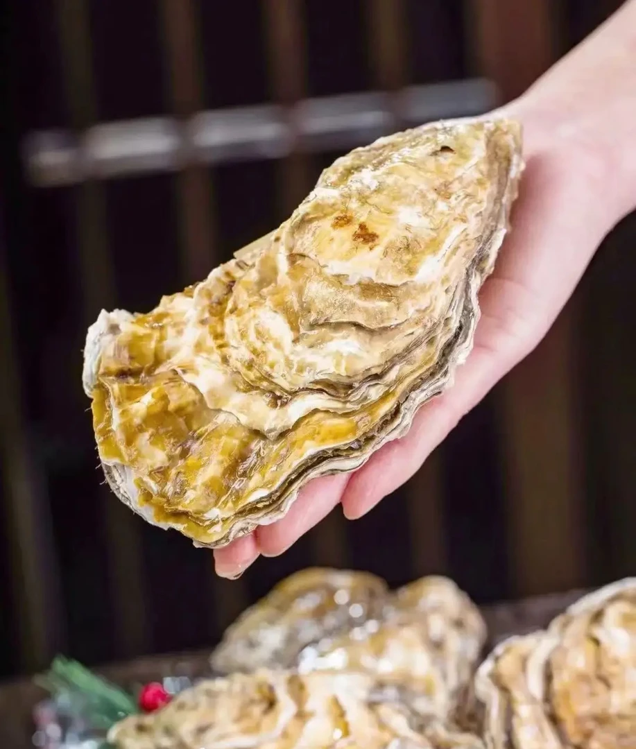 鲜活生蚝码头原产地新鲜大生蚝适合蒜蓉清蒸烧烤顺丰包邮