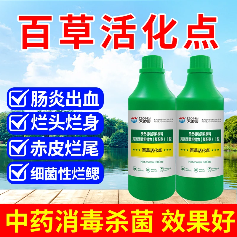 黄鳝养殖专用百草活化点 水产养殖黄鳝泥鳅养殖专用天然细菌性