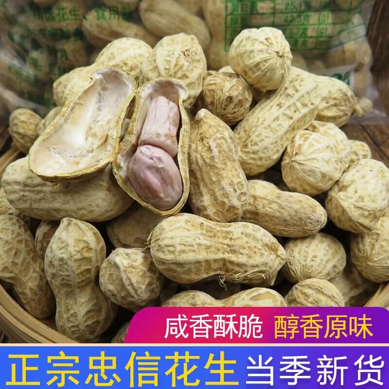 【咸脆花生】23年忠信咸脆花生1斤烤干农家酥脆带壳花生皇