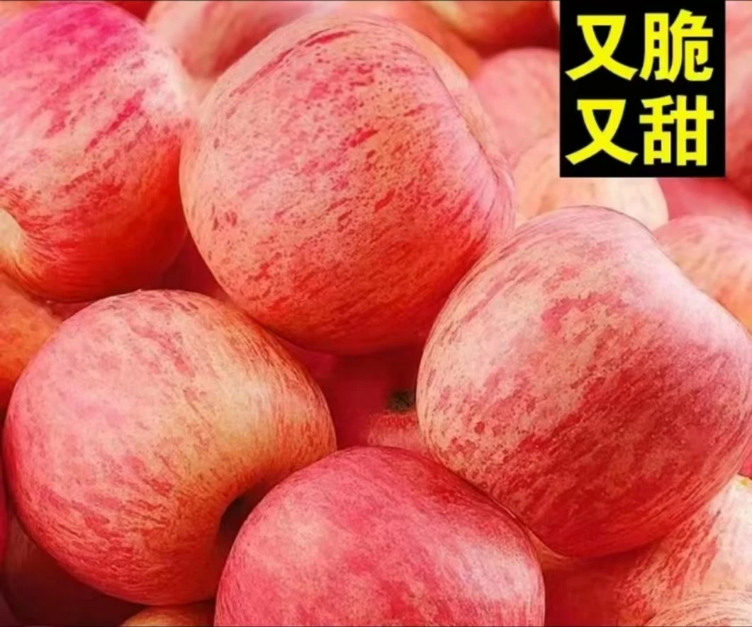 【买5斤送5斤】正宗洛川红富士苹果新鲜水果当季现摘现发脆甜