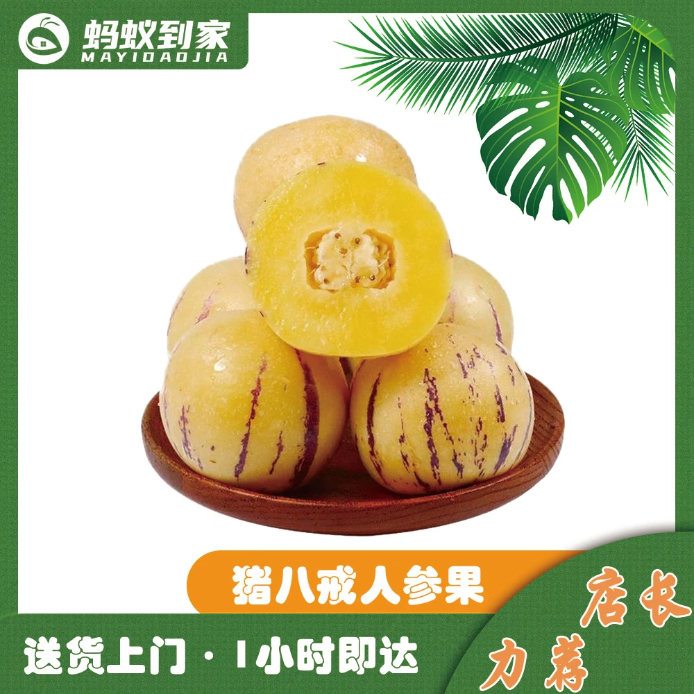 精选 人参果 净含量500g
