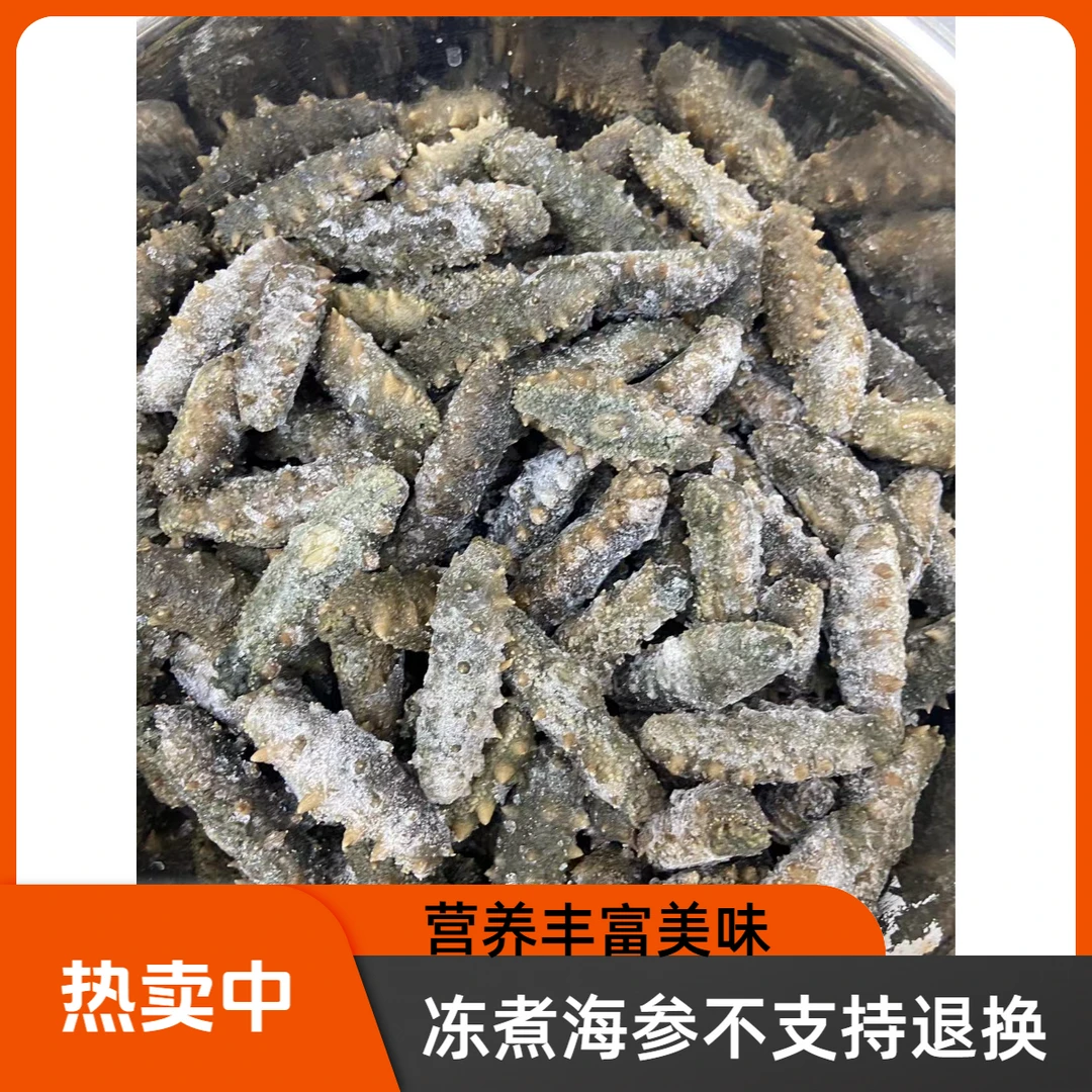 【媛媛推荐冻煮海参】新鲜冻煮海参口感好/小头 青岛发货