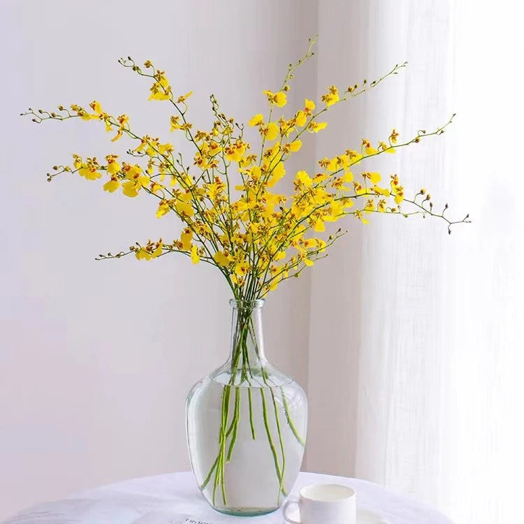【高端花材】跳舞兰鲜切花、高级暖色调、花期很长哟！养护
