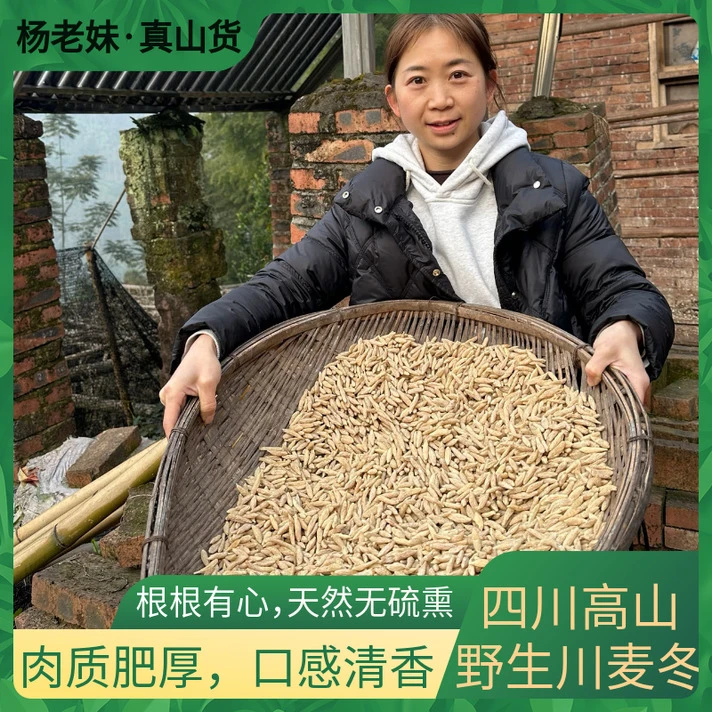 【杨老妹】山货四川麦/冬200克农产品 平时可搭配干山药