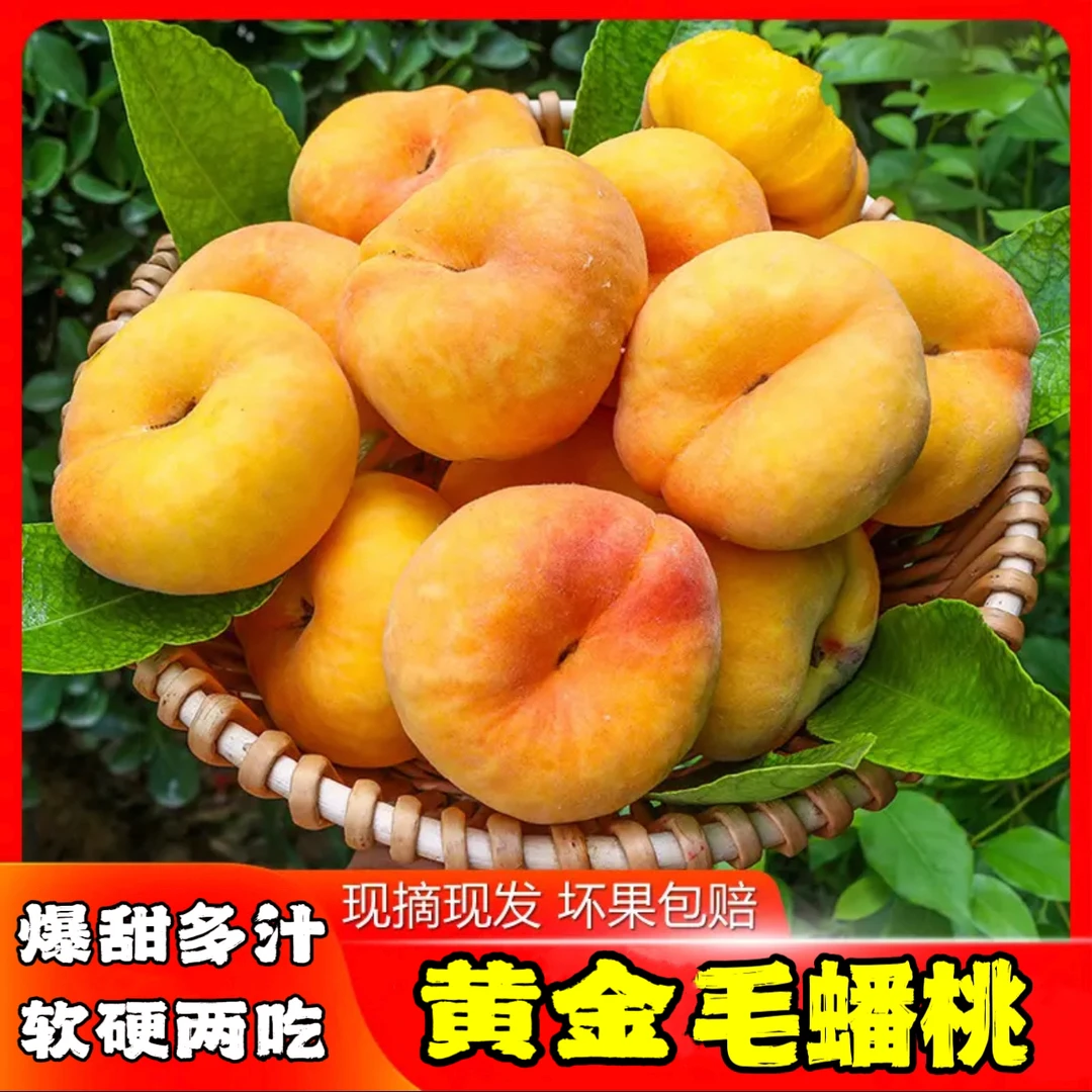 【产地直发】山东黄金毛蟠桃带箱5斤脆甜爽口软吃爆甜多汁果味浓郁.