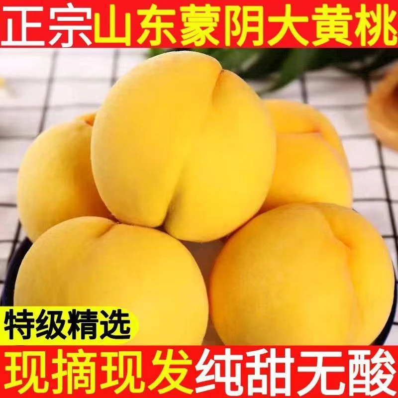 带箱5斤蒙阴黄桃黄毛桃产地直发黄金密桃脆甜多汁锦绣黄桃桃子1.