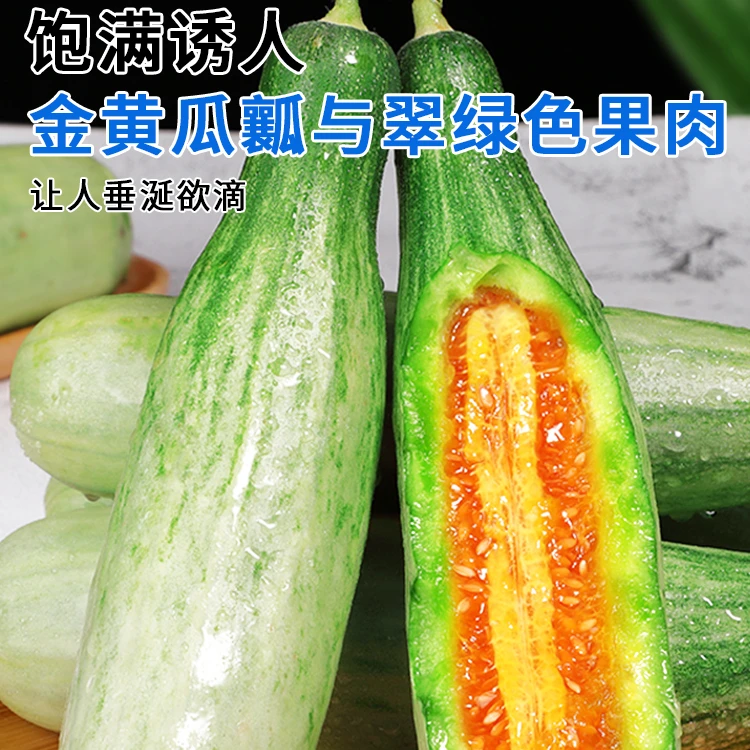 【新鲜上市】正宗山东羊角蜜甜瓜现摘现发香瓜原产地直发博洋9号bt.