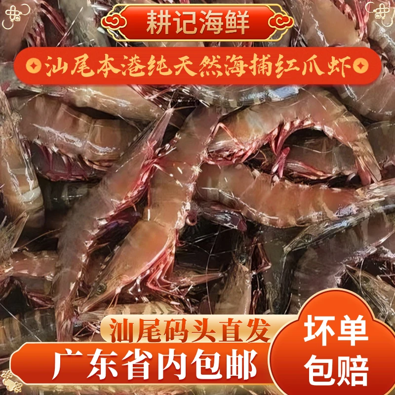 （活活速冻）汕尾马宫港深海捕捞 天然野生红爪虾，鲜活冷冻锁鲜发货