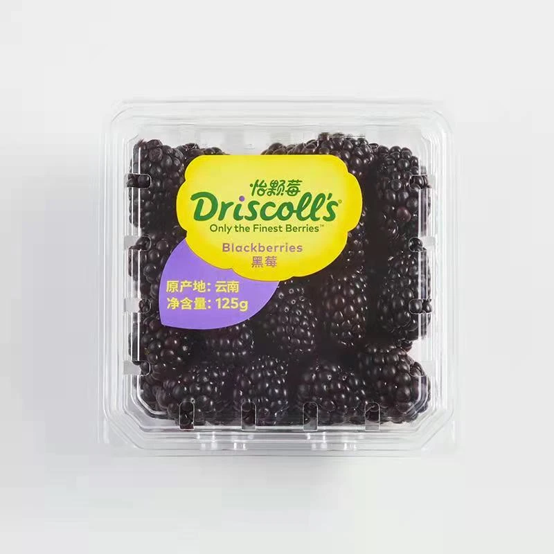 Driscoll’s 黑莓 125g
