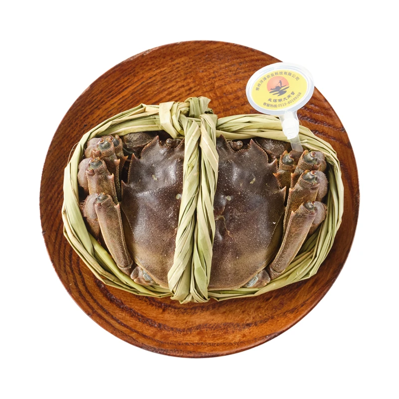 鲜活 富硒大闸蟹(母蟹)  115-135g/只