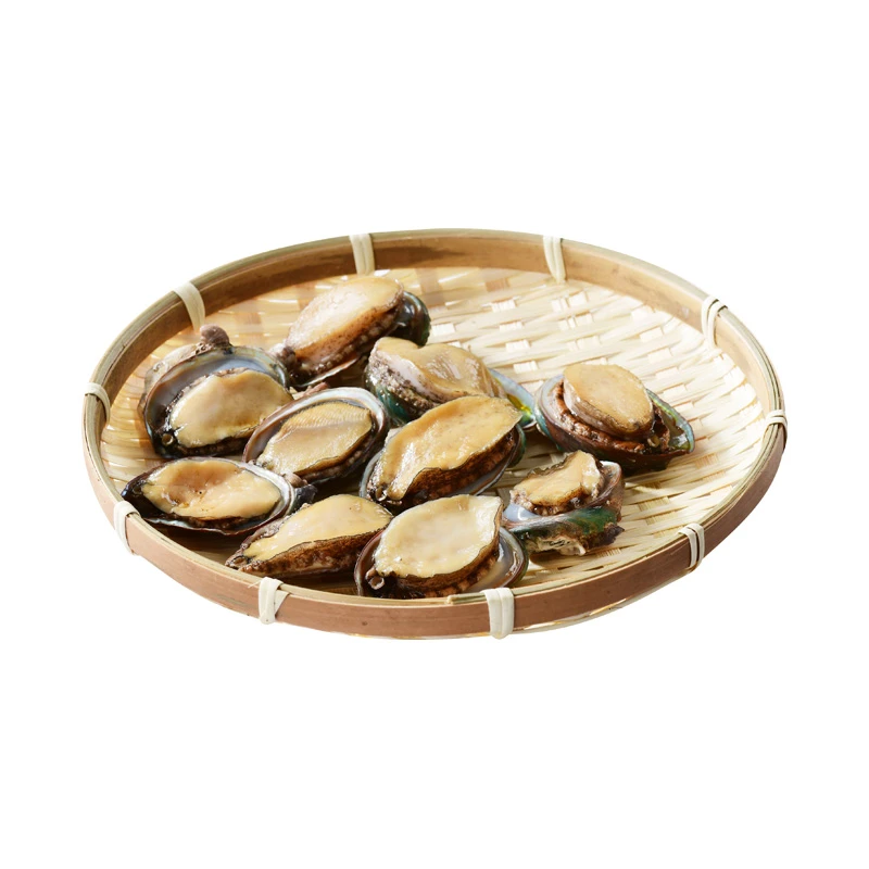 鲜活鲍鱼 6只装(6-8头/500g)