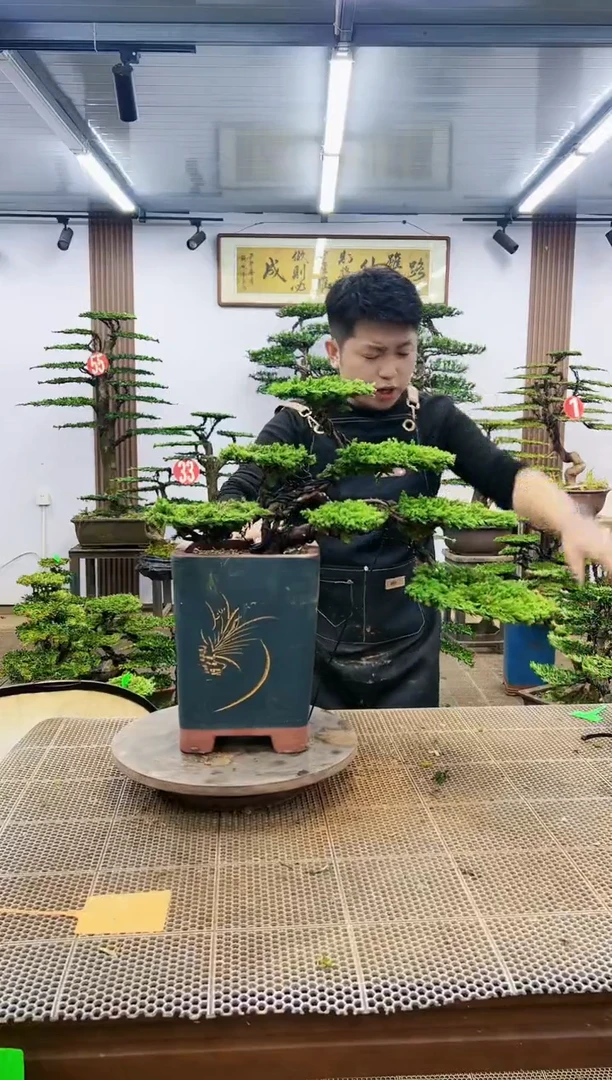 【闪购商品】一物一拍,所见即所得