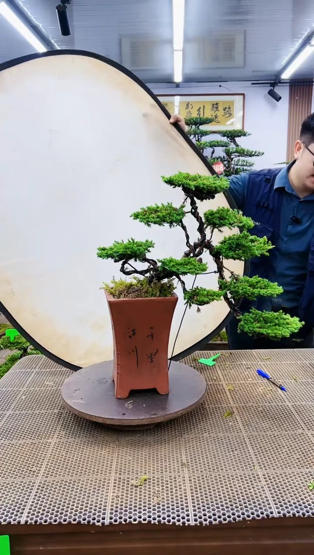 【闪购商品】一物一拍，所见即所得