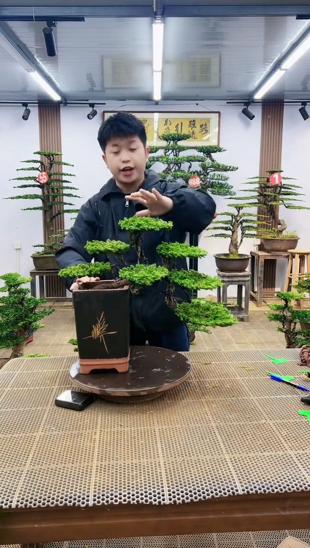 【闪购商品】一物一拍，所见即所得