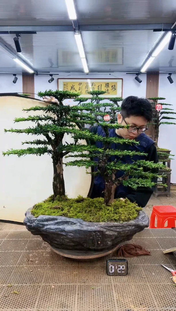 【闪购商品】一物一拍,所见即所得