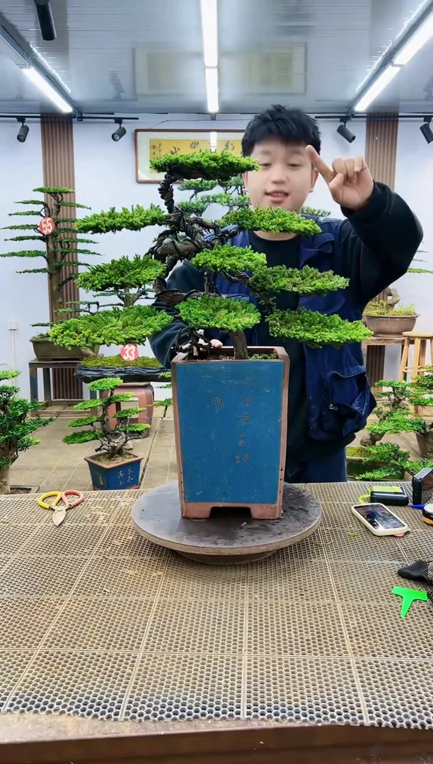 【闪购商品】一物一拍，所见即所得