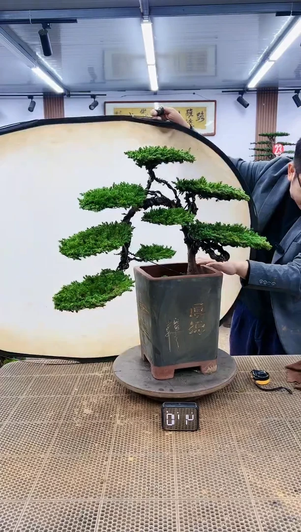 【闪购商品】一物一拍,所见即所得