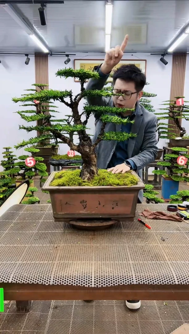 【闪购商品】一物一拍，所见即所得