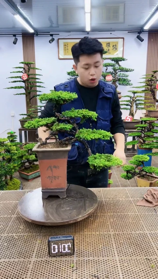 【闪购商品】一物一拍，所见即所得