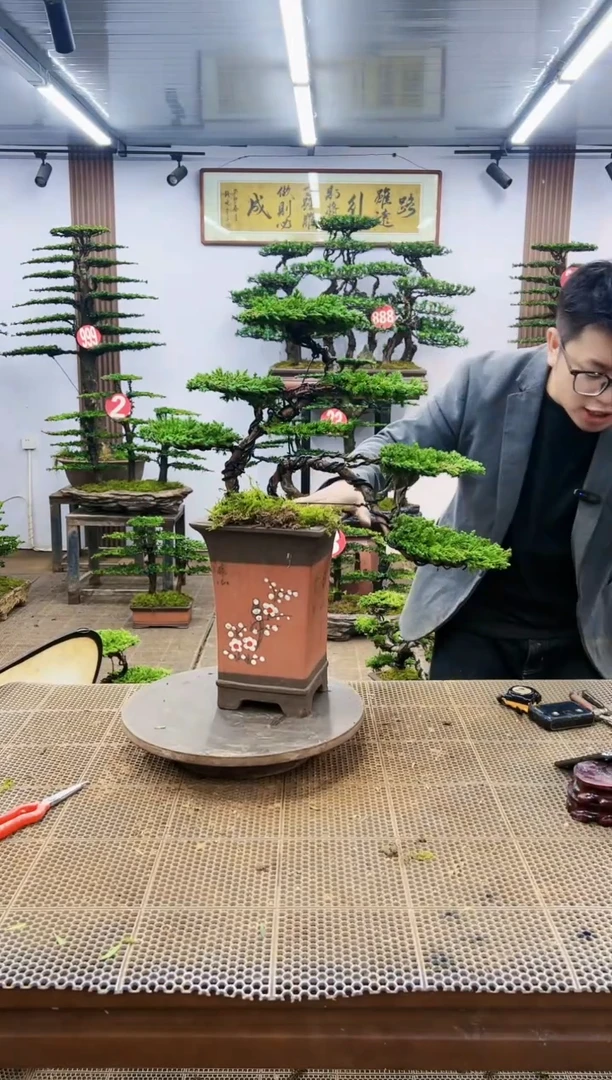 【闪购商品】一物一拍，所见即所得