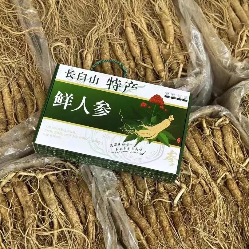 雅货新鲜人参5条