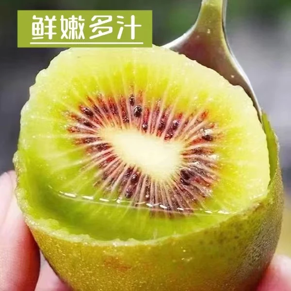 [放软5天左右食用]直发软糯红心猕猴桃10-30枚整箱单个70到130g
