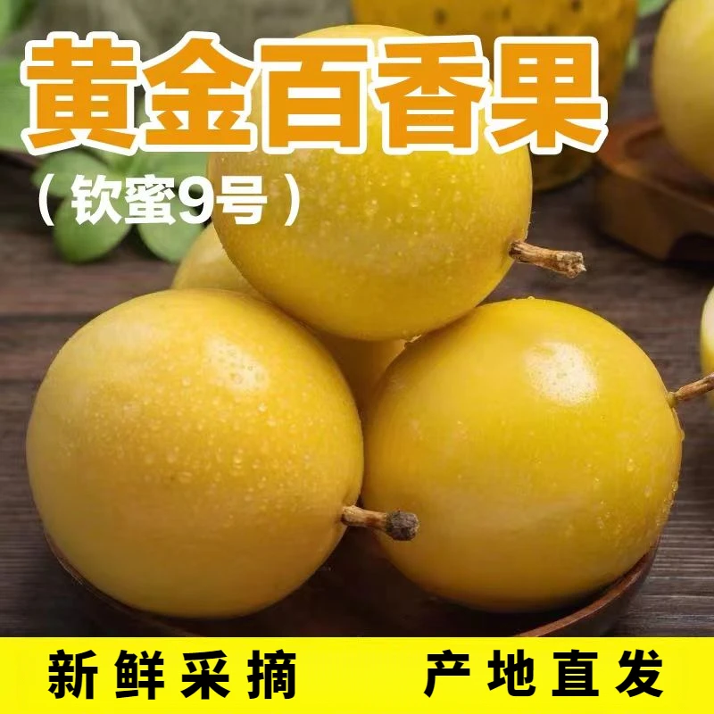 百香果产地直发正宗钦蜜9号黄金百香果酸甜多汁钦蜜九号百香果果