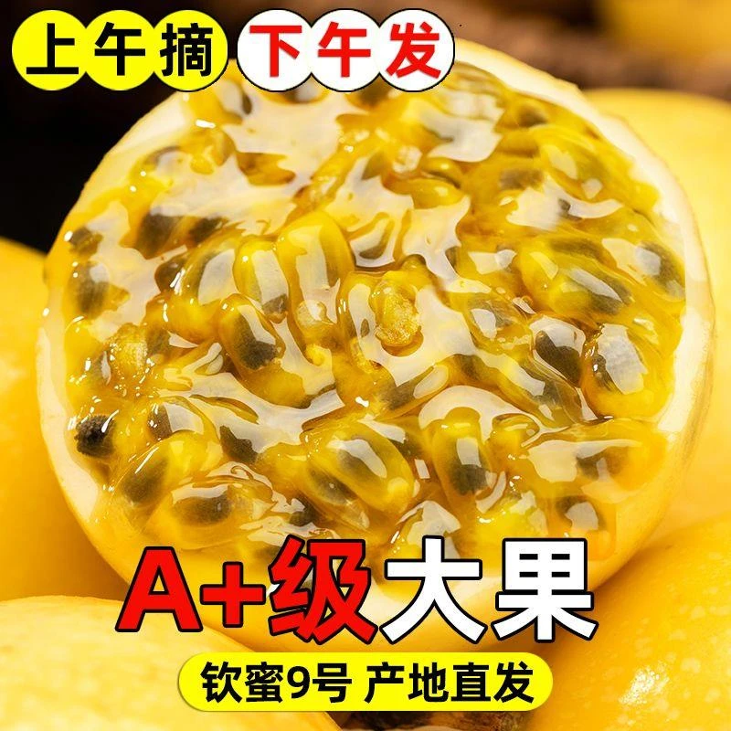 正宗钦蜜9号黄金百香果百香果直播卖货百香果产地直发新鲜水果