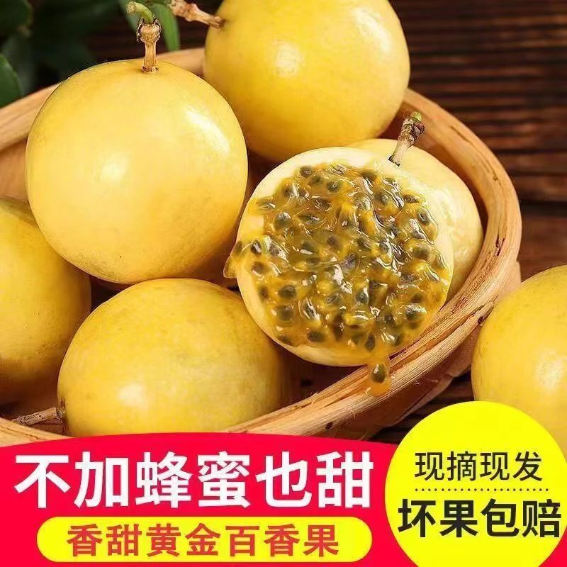 百香果钦蜜9号正宗新鲜采摘黄金百香果应季水果鲜甜黄金百香果