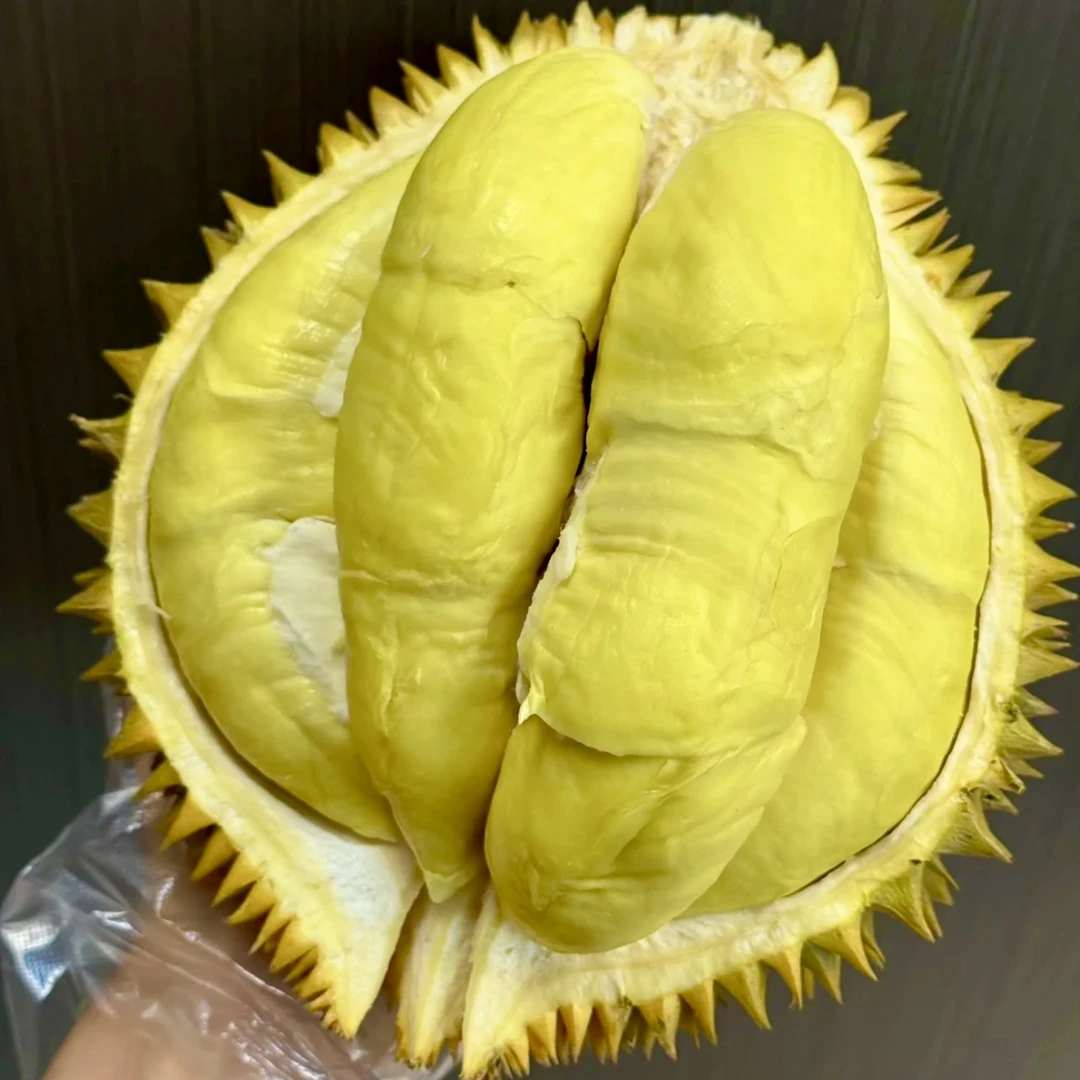 树上熟新鲜榴莲（一物一拍）