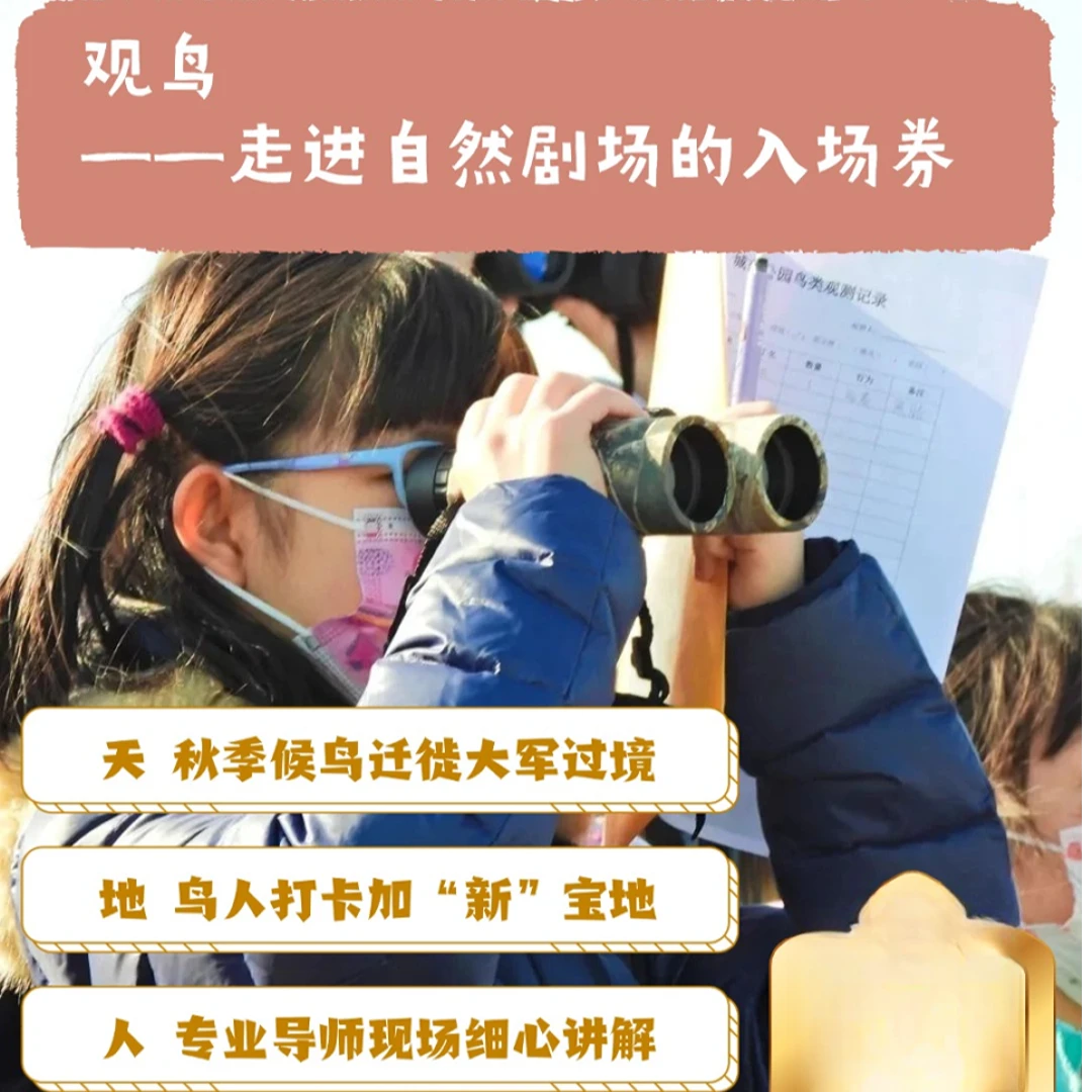 11.10(上、下午场)秋季候鸟迁徙调查活动