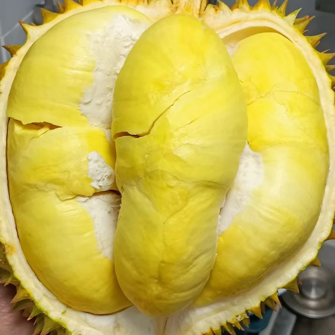 金枕榴莲 榴莲现开果肉2斤/1.5斤/1斤