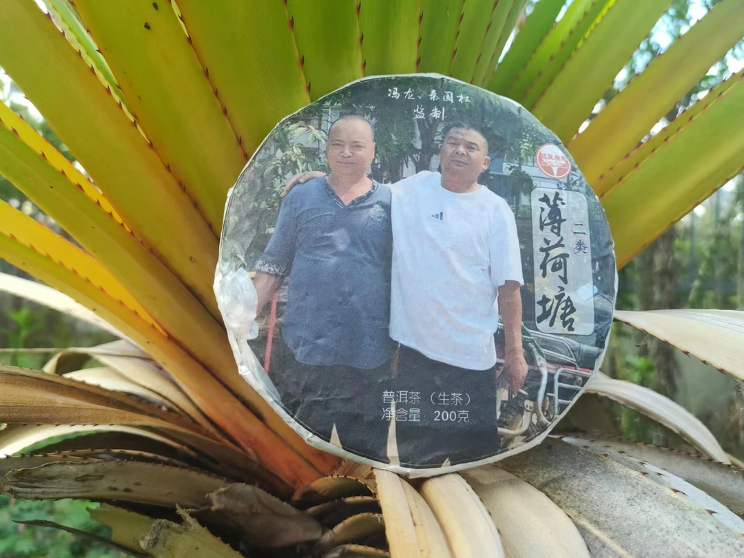 云南普洱茶2023年薄荷塘二类（冯龙、秦国权监制）200克饼