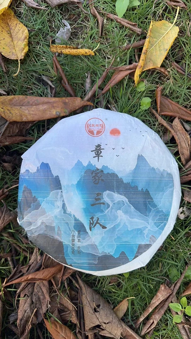 云南普洱茶2021年章家三队生茶400克