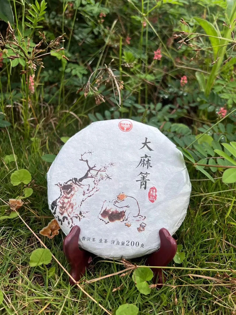 云南普洱茶生茶2021年(大麻箐)纯料200克