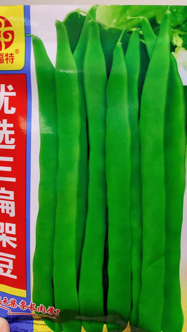 三扁架豆豆角种子