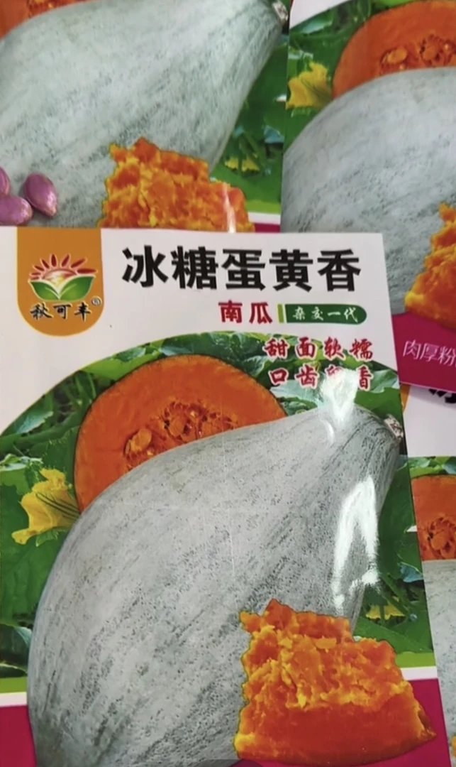 冰糖蛋黄香南瓜种子10粒