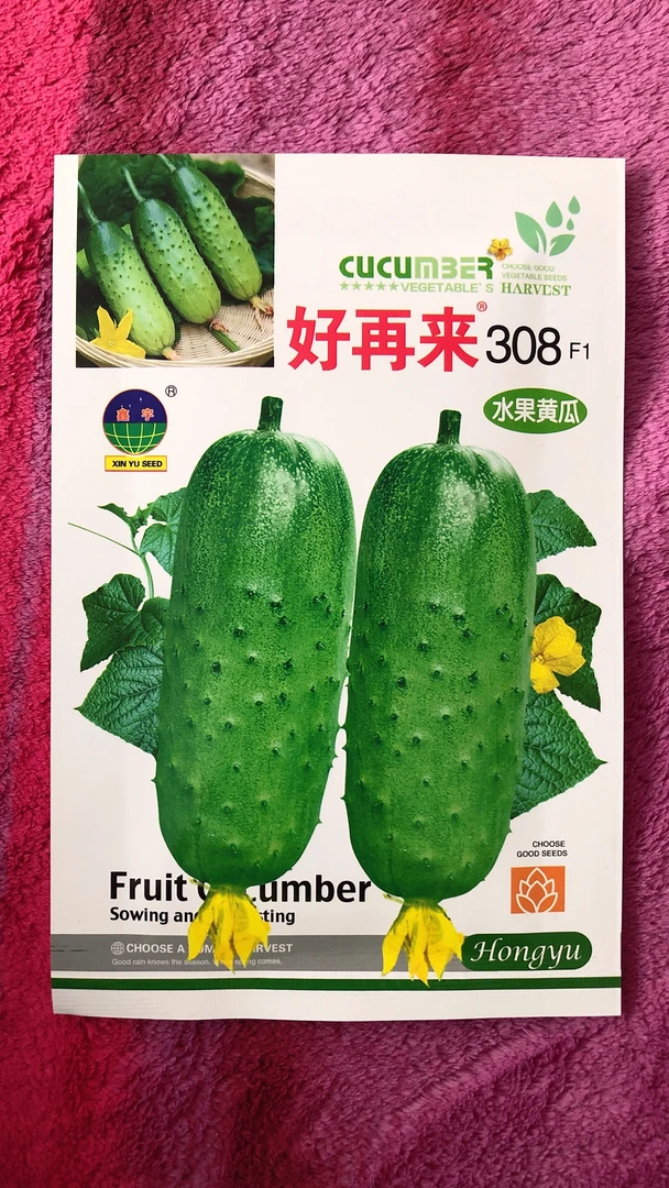 好再来308水果黄瓜种子