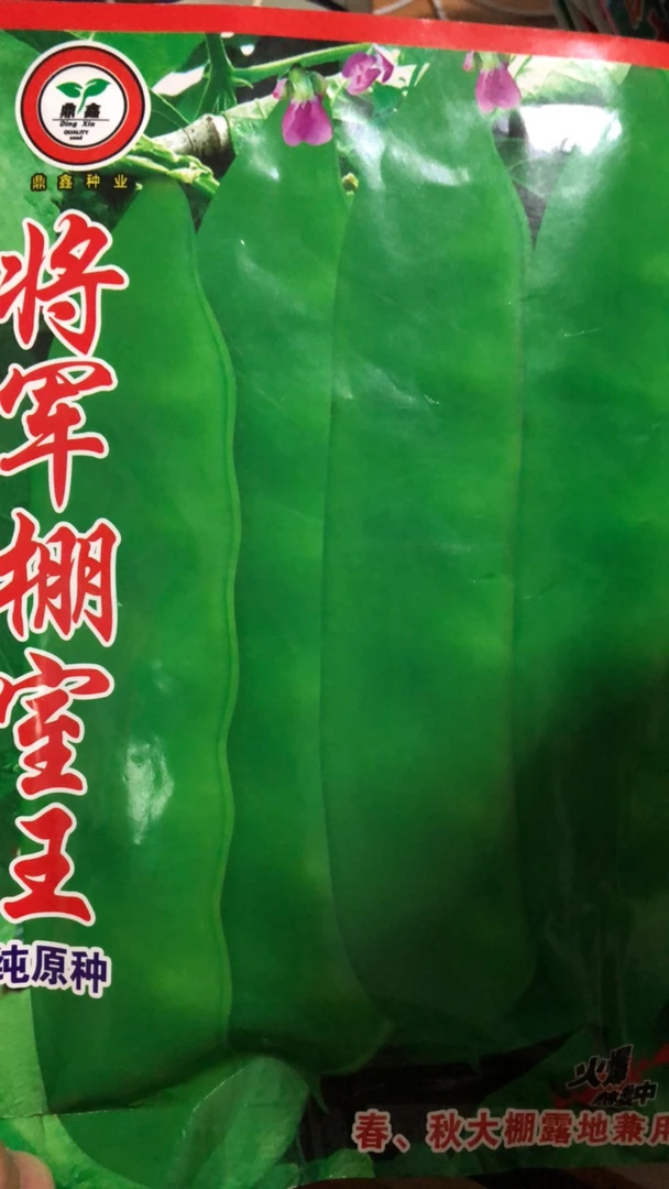 将军棚室王豆角种子