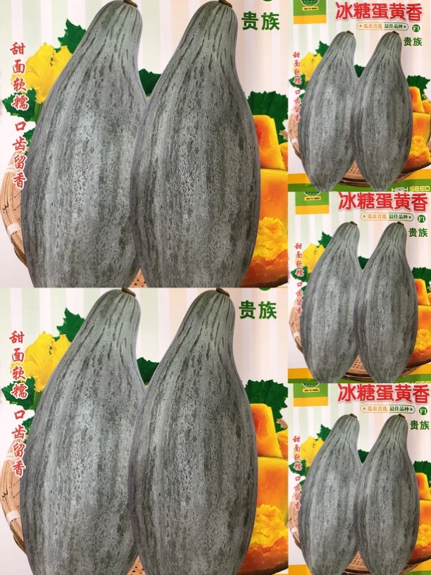 好再来冰糖蛋黄香南瓜种子10粒