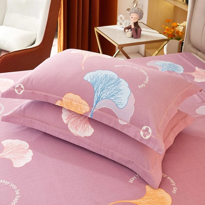 新款大号枕套一对装全棉高档家用加厚生态磨毛单学生宿舍成人情侣