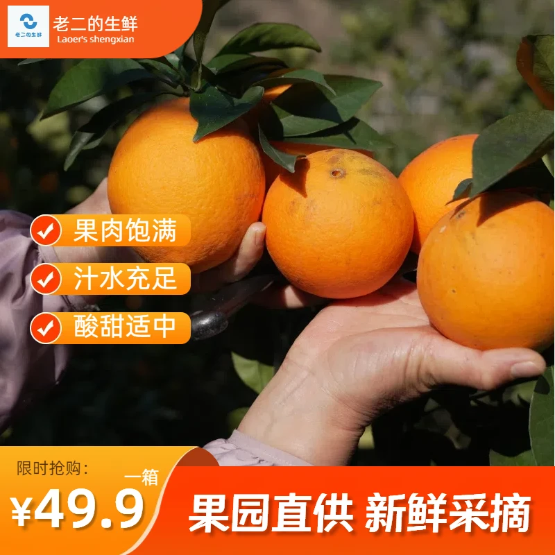 正宗古田脐橙新鲜应季水果现摘皮薄多汁自家果园直发10斤大果酸甜