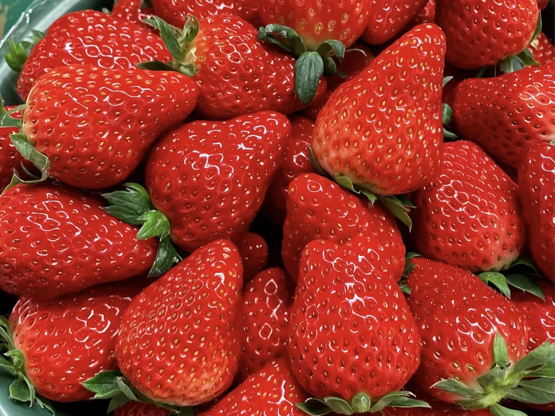 新鲜上市奶油草莓一盒