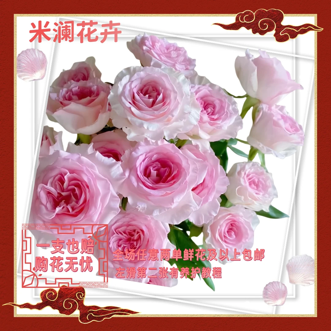 汀若全场任意  两单  包邮价 洛神（波浪卷边花型）  云南基地直发