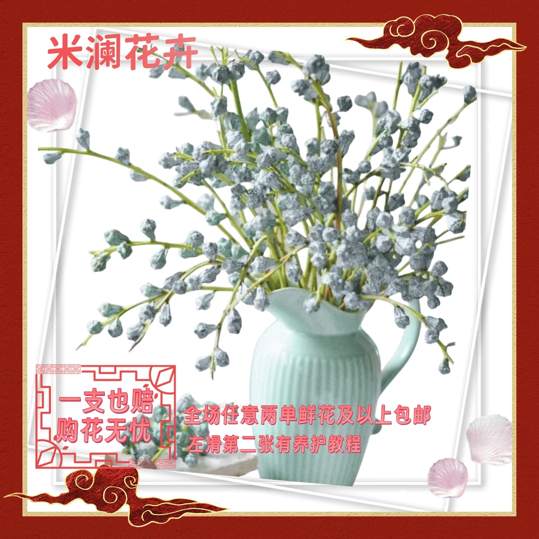 汀若【尤加利果】清香花材  果实绿色 云南基地直发 1单包邮